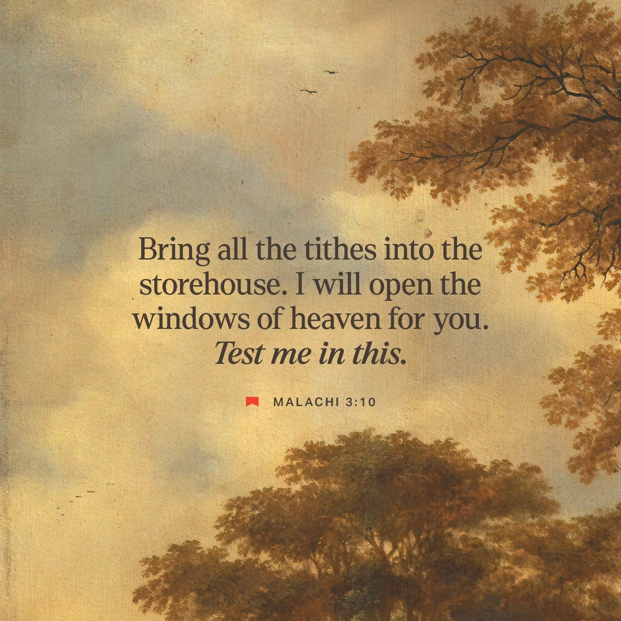 Malachi 3 10 NIV Bring The Whole Tithe Into The Stor YouVersion