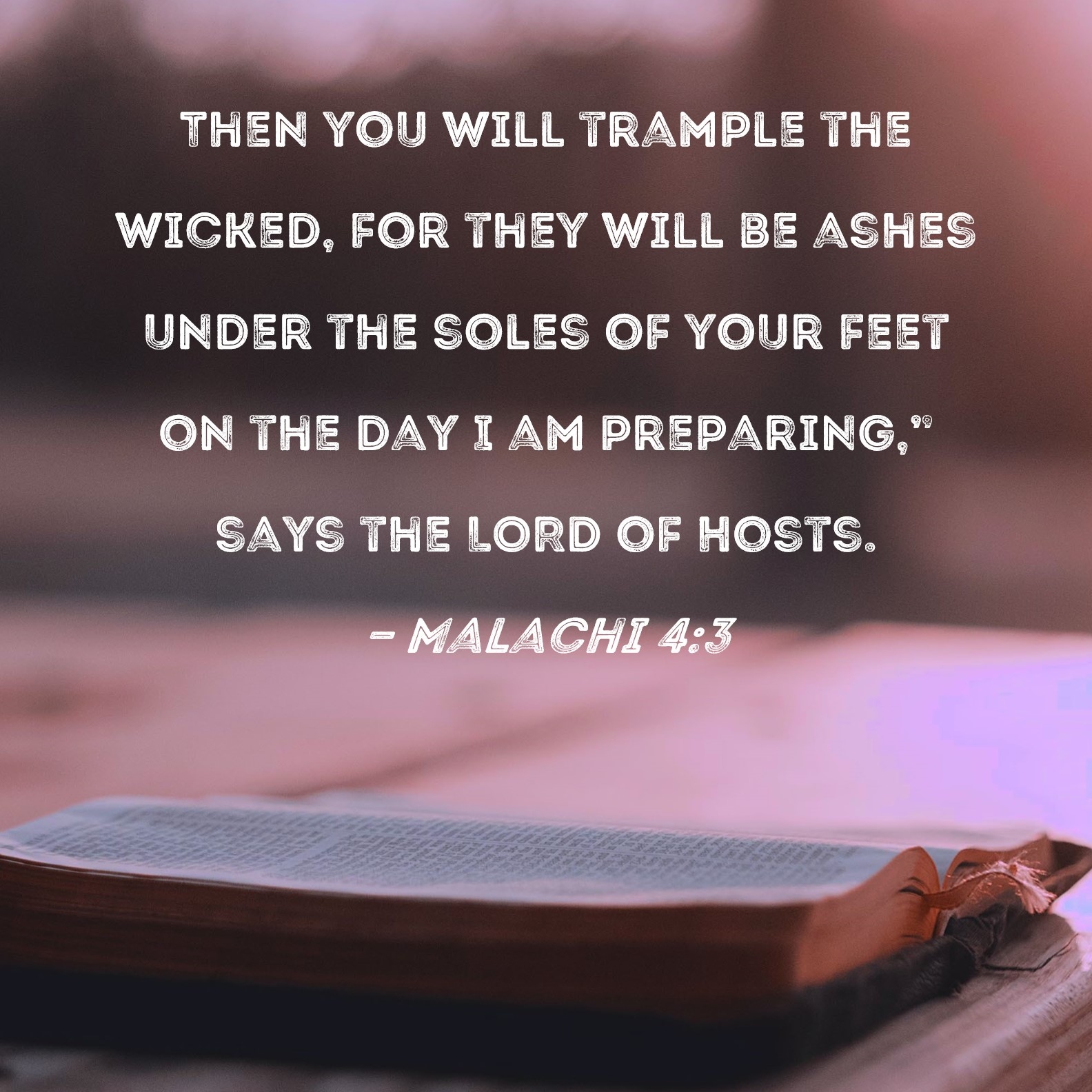 Malachi 4 3 Then You Will Trample The Wicked For They Will Be Ashes Under The Soles Of Your Feet On The Day I Am Preparing Says The LORD Of Hosts 