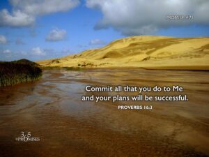 March 12 365 PROMISES
