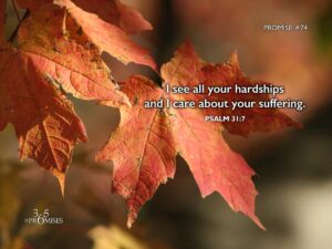 March 15 365 PROMISES