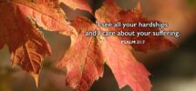 March 15 365 PROMISES