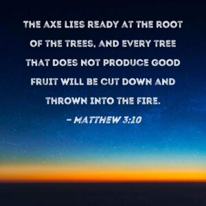 Matthew 3 10 The Axe Lies Ready At The Root Of The Trees And Every Tree That Does Not Produce Good Fruit Will Be Cut Down And Thrown Into The Fire