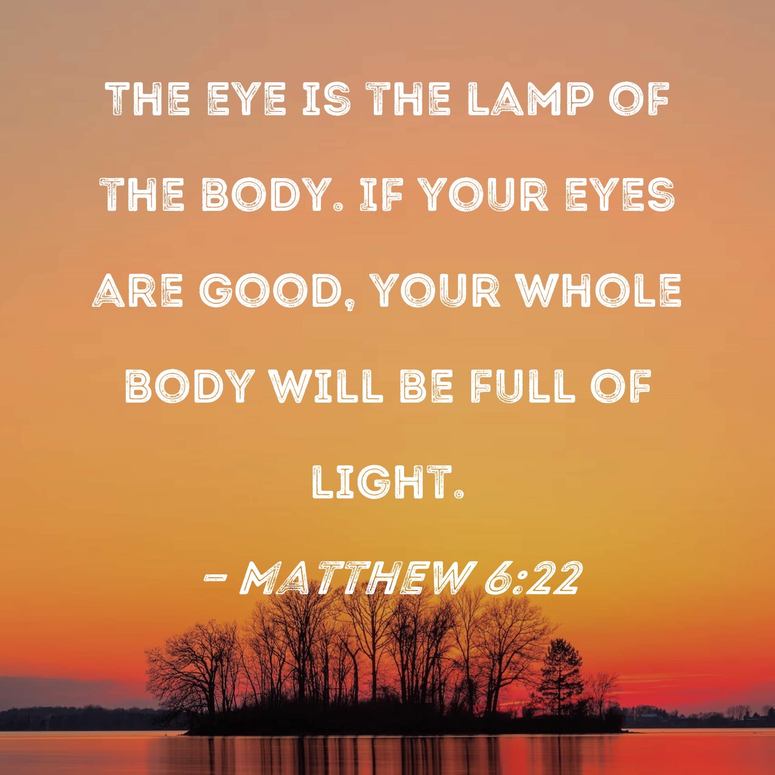 Matthew 6 22 The Eye Is The Lamp Of The Body If Your Eyes Are Good Your Whole Body Will Be Full Of Light 