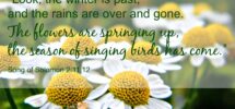 More Spring In Our Step And In Our Hearts Faith Spilling Over