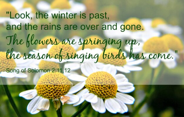 More Spring In Our Step And In Our Hearts Faith Spilling Over