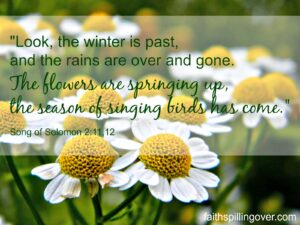 More Spring In Our Step And In Our Hearts Faith Spilling Over