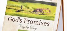 Motivational Calendar Daily Bible Quote Green Small Desk EBay