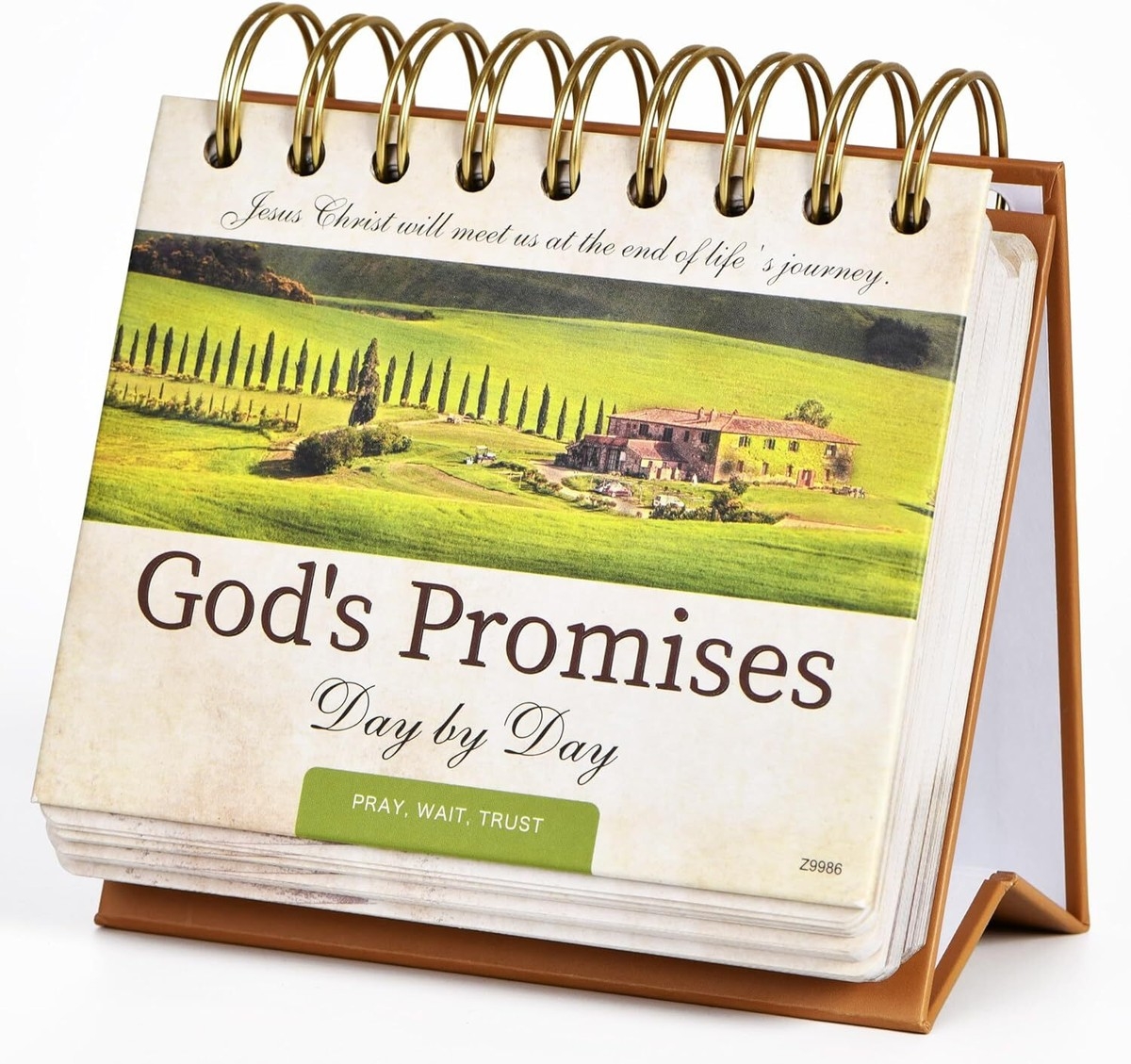 Motivational Calendar Daily Bible Quote Green Small Desk EBay