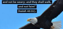 Mount Up With Wings As Eagles GeorgeMuller