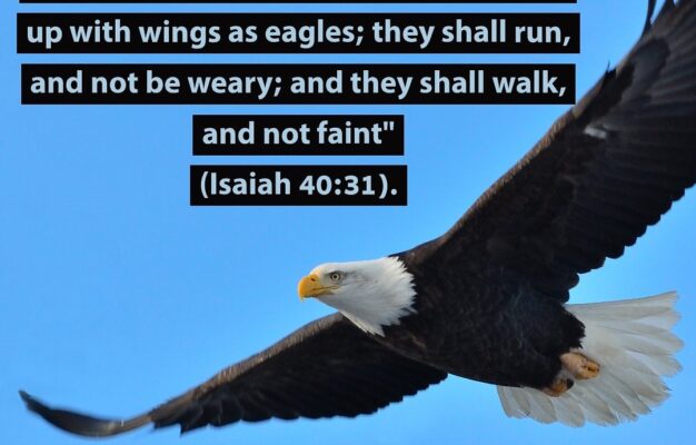 Mount Up With Wings As Eagles GeorgeMuller
