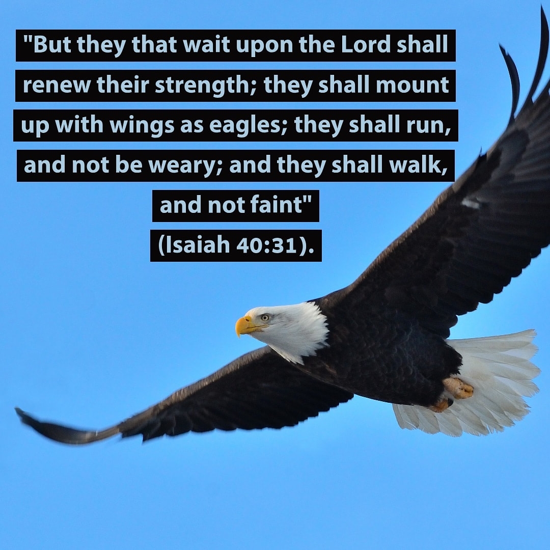 Mount Up With Wings As Eagles GeorgeMuller