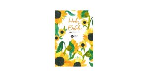 NIV Larger Print Soft tone Bible International Version New 9781529391367 Amazon Books
