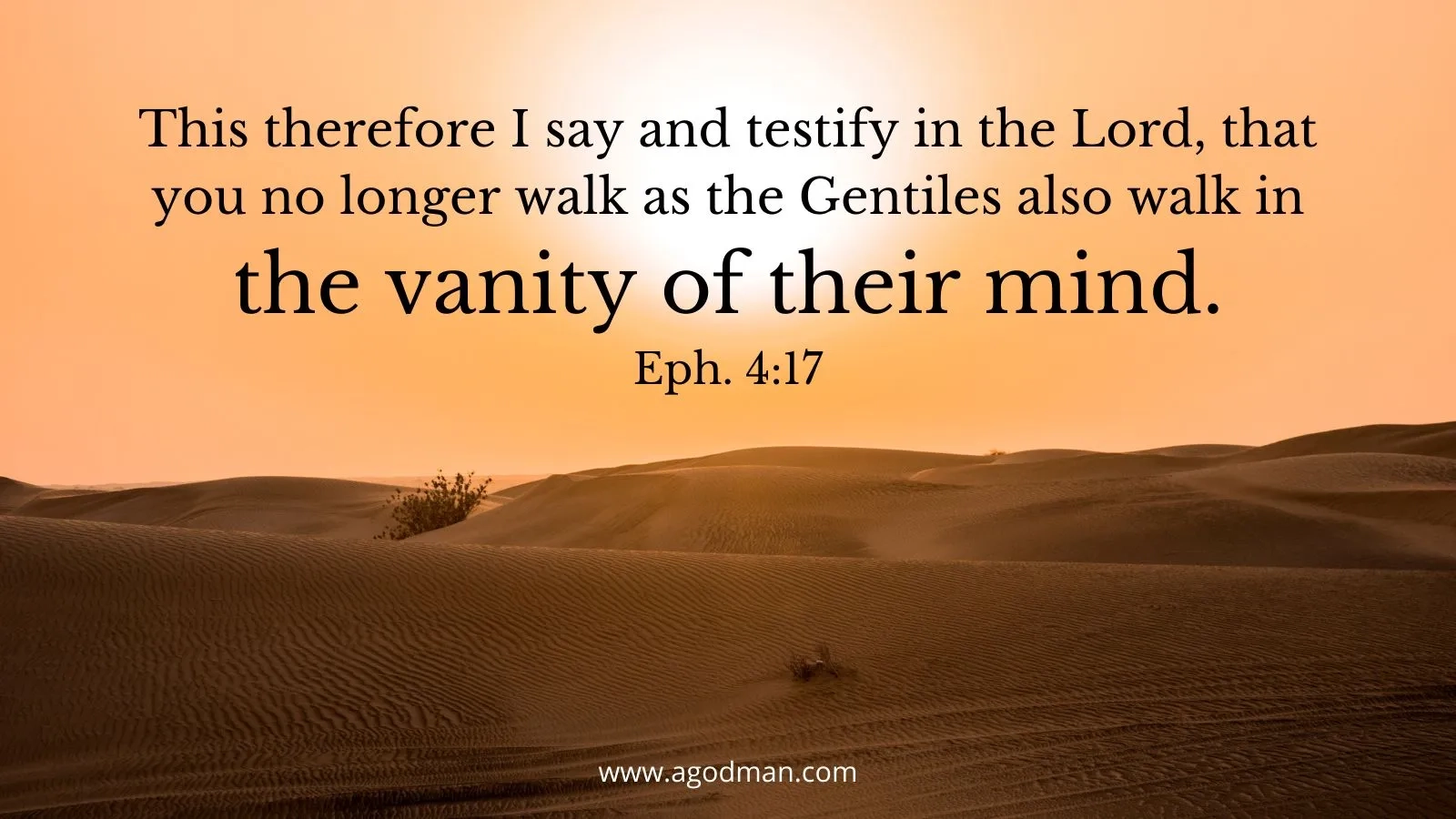 No Longer Walk In The Vanity Of Our Mind But Live The Life Of The New Man