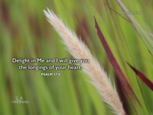 November 16 365 PROMISES