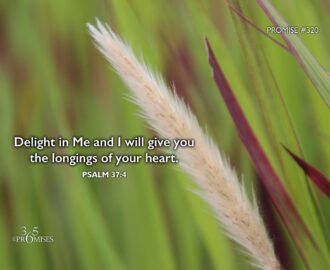 November 16 365 PROMISES