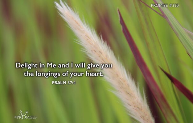 November 16 365 PROMISES