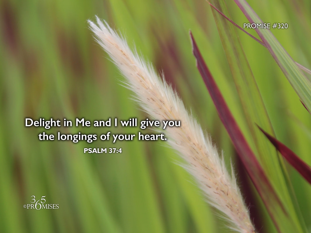 November 16 365 PROMISES