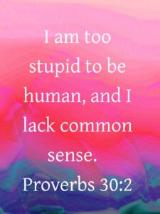 November 2020 To Enjoy God