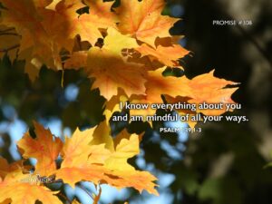 November 4 365 PROMISES