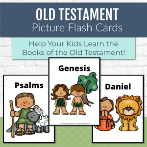 Old Testament Books Of The Bible Flash Cards With Pictures Kids Bible Teacher