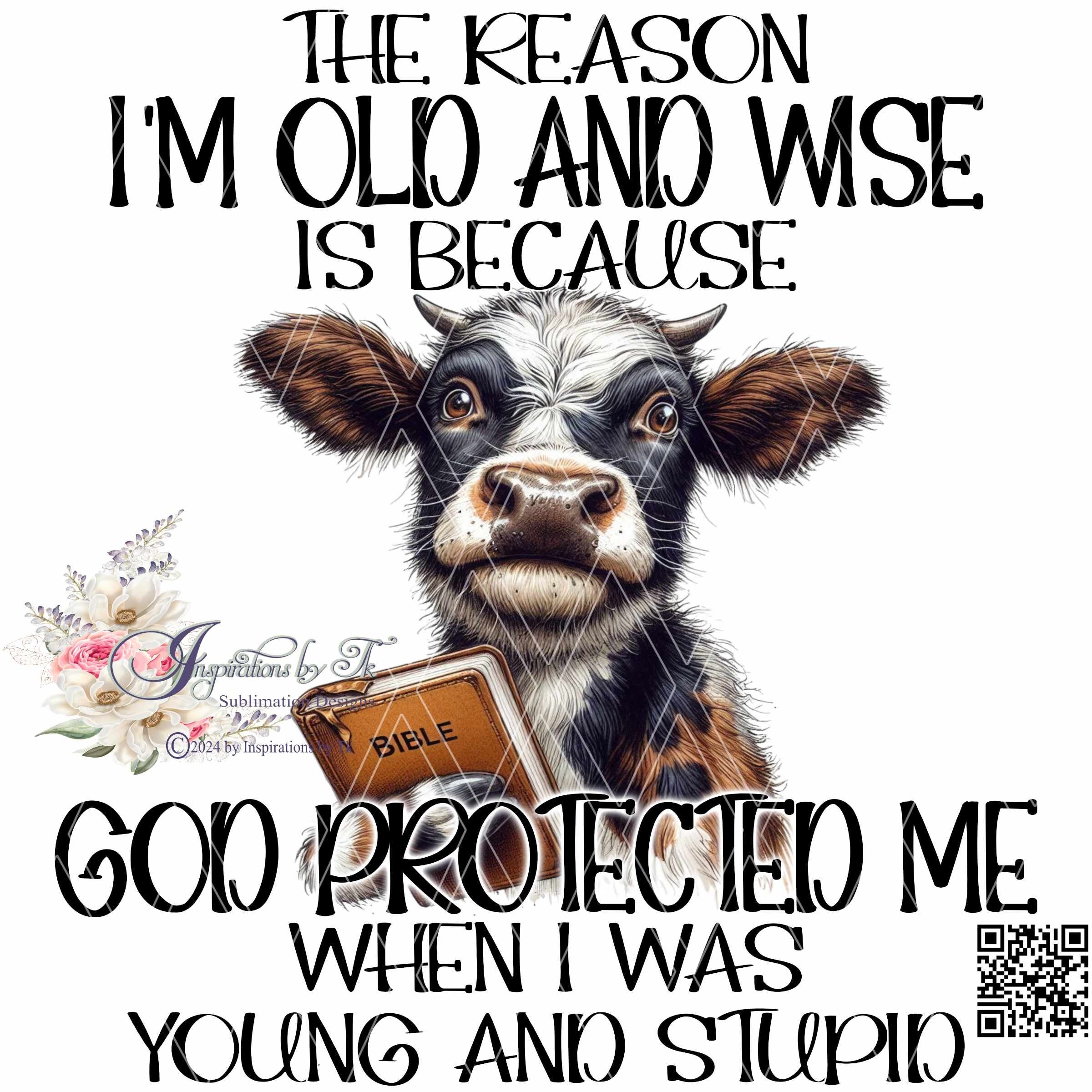 Old Wise God Protected Me When I Was Young And Stupid Humorous Christian Religious Design Cow Bible sublimation Download Digital Design Etsy