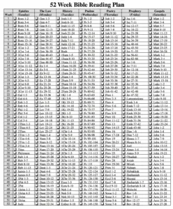 One Year Bible Reading Plan Flanders Family Home Life