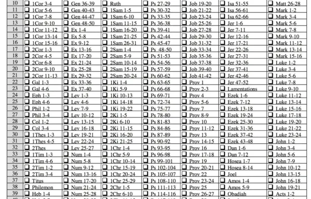 One Year Bible Reading Plan Flanders Family Home Life