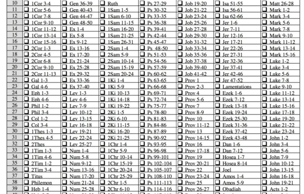 One Year Bible Reading Plan Flanders Family Home Life