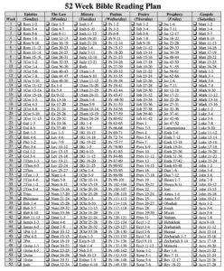 One Year Bible Reading Plan Flanders Family Home Life