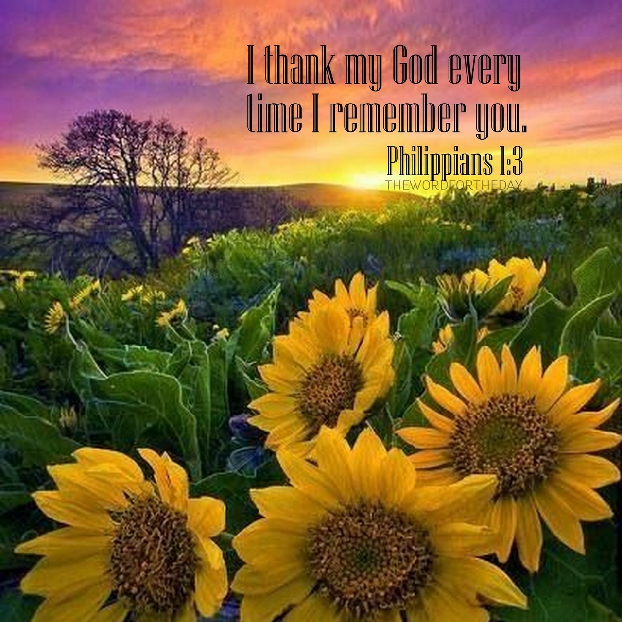 Remembrance Bible Quotes