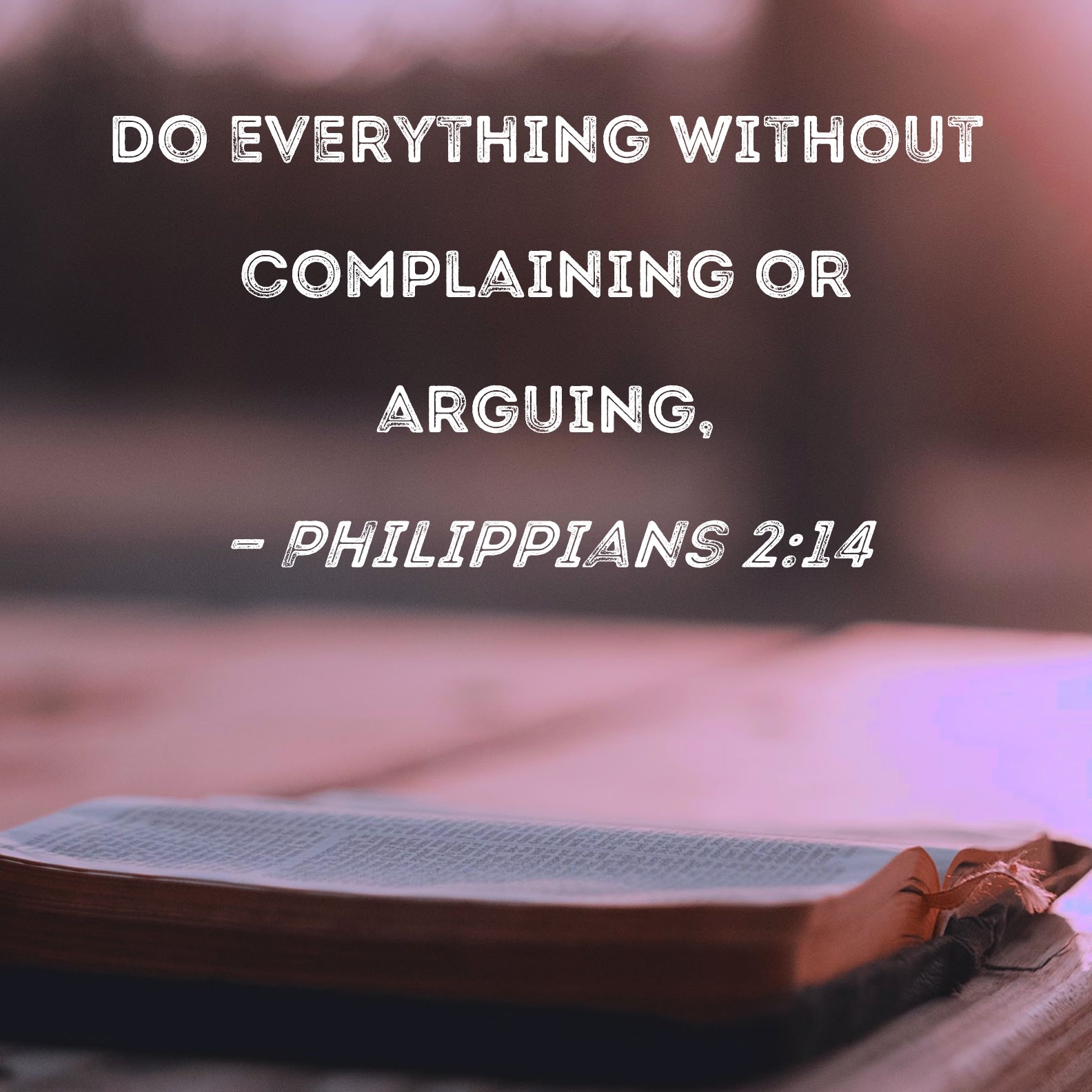 Philippians 2 14 Do Everything Without Complaining Or Arguing 