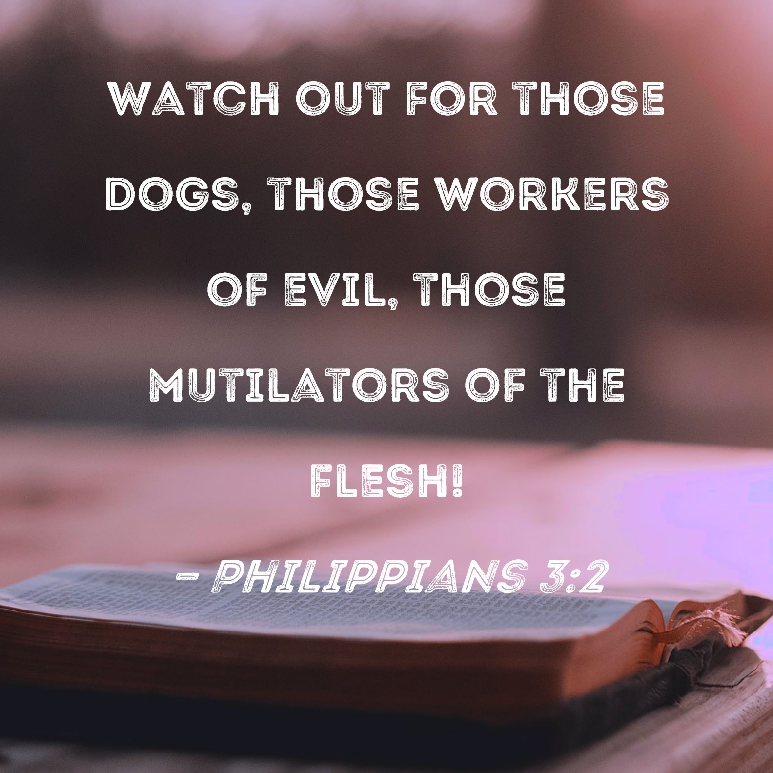 Bible Quotes About Pets