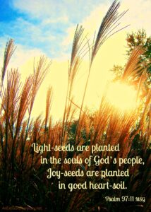 Plant Joy Seeds Joy Day And Printable An Extraordinary Day