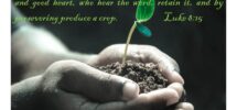Planting Seeds The Consecrated Woman