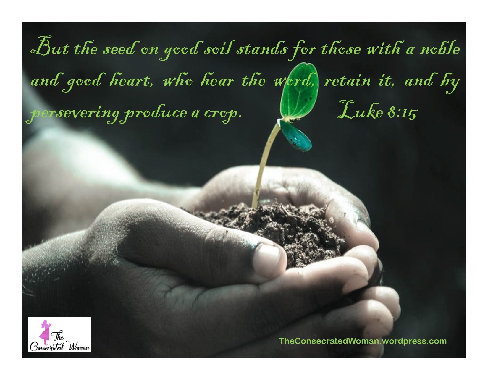 Planting Seeds The Consecrated Woman