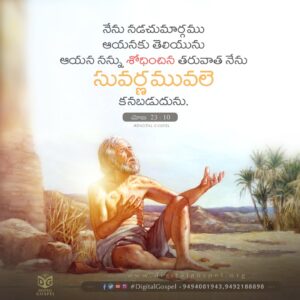 Praise The Lord DigitalGospel Job 23 10 Telugu Bible Verses Telugu Bible Wallpapers Digital Gospel Whatsapp Status Telugu Bible Daily Devotion Telugu Bible Quotes