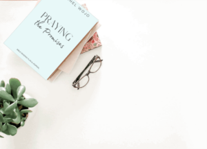 Praying God s Promises Bible Reading Plan Rachel Wojo