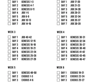 Printable Chronological Bible Reading Plan Etsy