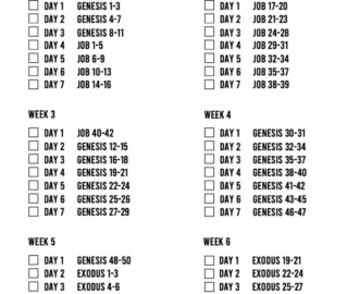 Printable Chronological Bible Reading Plan Etsy