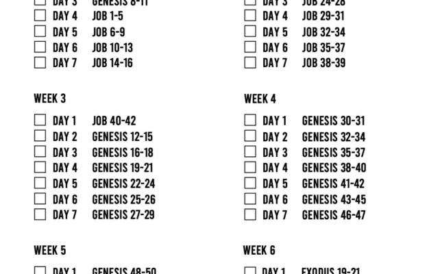 Printable Chronological Bible Reading Plan Etsy