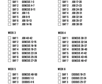 Printable Chronological Bible Reading Plan Etsy