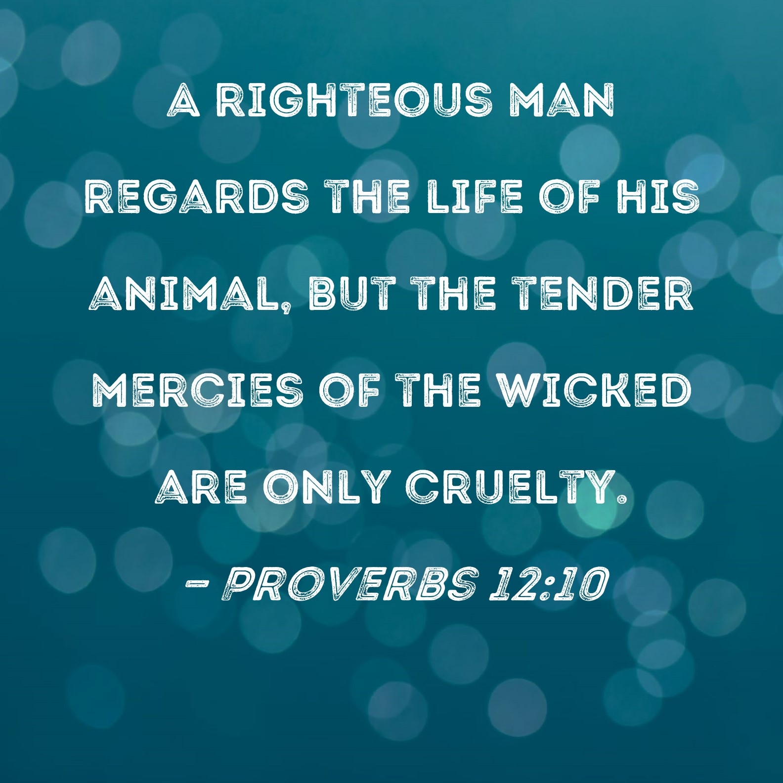 Proverbs 12 10 A Righteous Man Regards The Life Of His Animal But The Tender Mercies Of The Wicked Are Only Cruelty 
