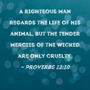 Proverbs 12 10 A Righteous Man Regards The Life Of His Animal But The Tender Mercies Of The Wicked Are Only Cruelty