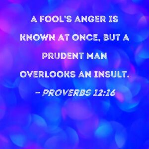 Proverbs 12 16 A Fool s Anger Is Known At Once But A Prudent Man Overlooks An Insult