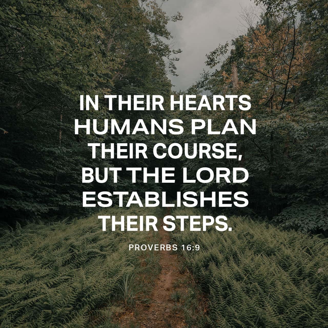 Bible Quotes For God's Plan