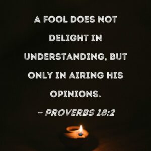 Proverbs 18 2 A Fool Does Not Delight In Understanding But Only In Airing His Opinions
