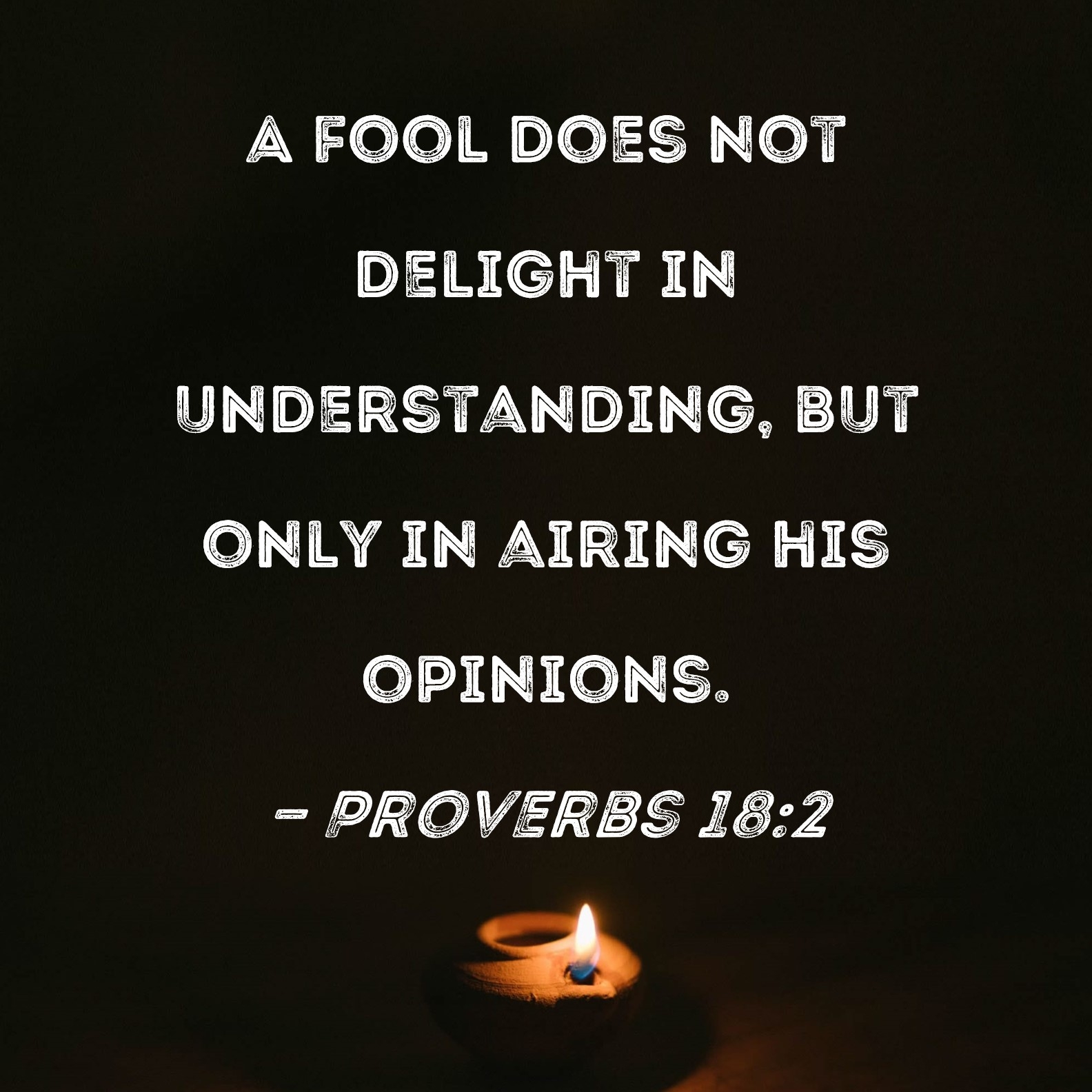 Proverbs 18 2 A Fool Does Not Delight In Understanding But Only In Airing His Opinions 