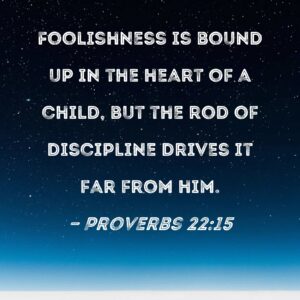 Proverbs 22 15 Foolishness Is Bound Up In The Heart Of A Child But The Rod Of Discipline Drives It Far From Him