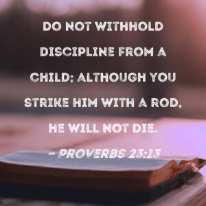Proverbs 23 13 Do Not Withhold Discipline From A Child Although You Strike Him With A Rod He Will Not Die