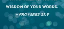 Proverbs 23 9 Do Not Speak To A Fool For He Will Despise The Wisdom Of Your Words
